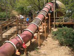 -北京西山国家森林公园