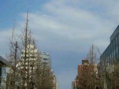 android_upload_pic-北海道厅旧本厅舍(旧本庁舎)