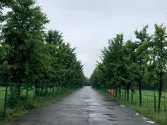 -汉景帝阳陵博物院