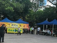 -九龙公园