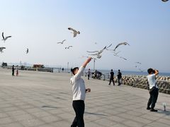 -东港音乐喷泉广场