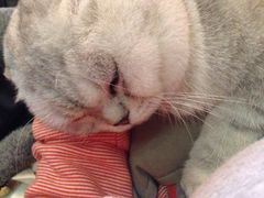 -MIKAKU(万达广场上海宝山店)