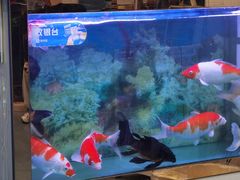 -朋朋修脚(友好广场店)