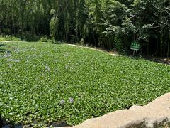 -沂蒙云瀑洞天景区