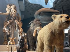-Behring World of Animals(上海自然博物馆店)