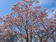 -北京化工大学(东校区)
