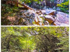 -银瓶山森林公园(谢岗镇)