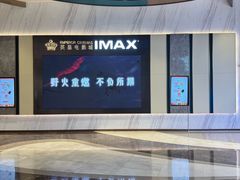 -英皇电影城(平安金融中心IMAX激光店)