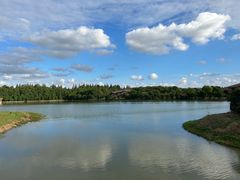 -上海海湾国家森林公园