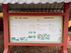 -曼丢傣家古寨