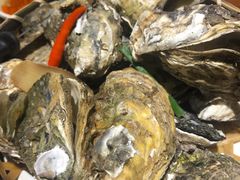 竹篮生蚝-全渔村小海鲜