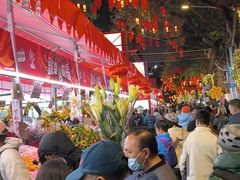 -越秀西湖花市(广州城市广场花卉店)