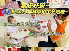 -金点蒙氏国际教育(悠然校区)