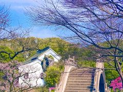 -南园(太仓市)