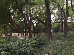 -徐家汇源景区-衡山公园