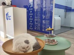 -拜鲁耶动物诊疗中心·宠家动物医院