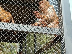 -长白岛森林公园