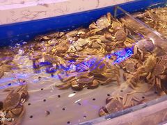 -澜悦港海鲜体验主题餐厅