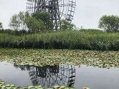 -太湖湖滨国家湿地公园-停车场