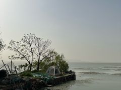 -东山风景区(洞庭东山)