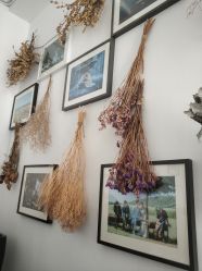 -沐曦摄影工作室