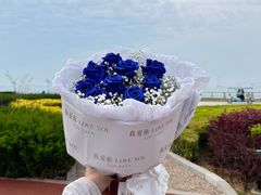 -东港音乐喷泉广场