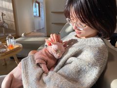 -猫腻·猫咖·撸猫馆(星光大道店)