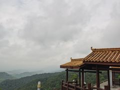 -铁山坪森林公园