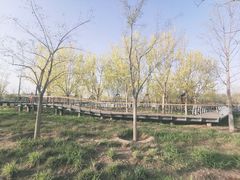 -东郊湿地公园