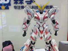 -森孚机器人编程·STEM积木·等级考试(虹口足球场中心)