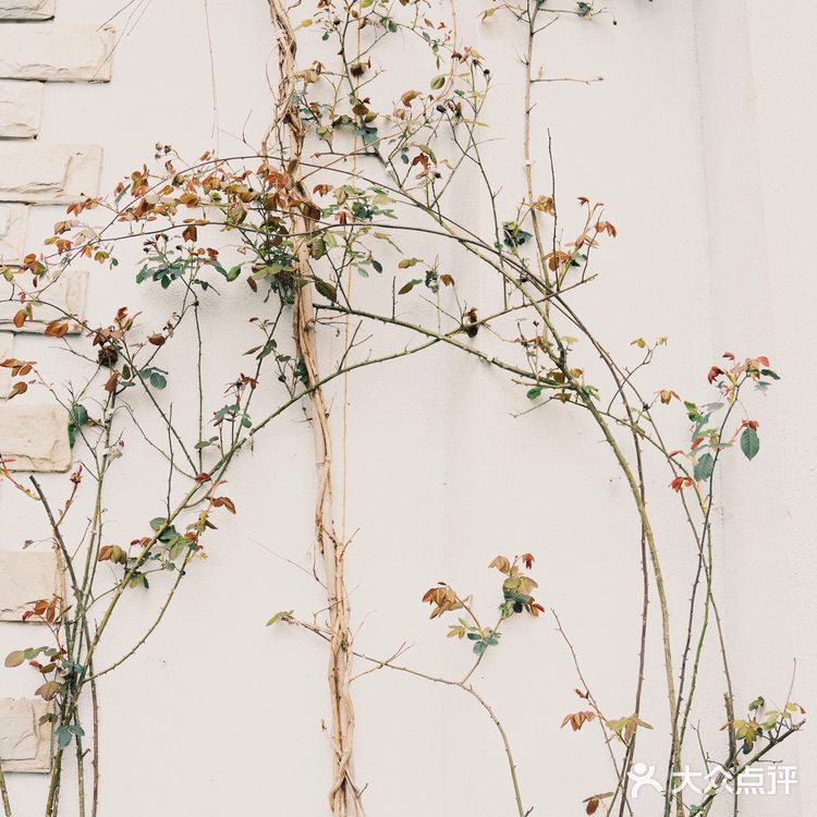 成都一日游好去处