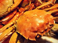 -小时候2013(瀚新店)