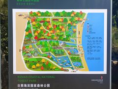 -日照海滨国家森林公园