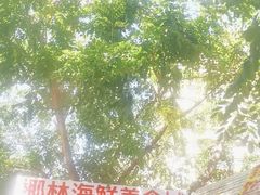 -范饭椰林川湘味海鲜·椰子鸡(三亚湾椰梦长廊店)