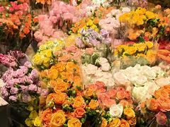 -循礼门鲜花花市(武汉循礼门店)