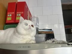 -美美宠物诊疗中心·异宠·骨科(滨江东信分院)