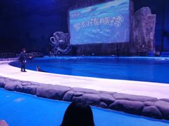 -华夏文旅海洋公园