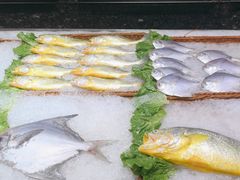 -宝燕壹号(徐汇店)