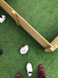 -萌宠亲子动物乐园(槐房万达店)