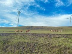 -塞罕坝国家级自然保护区