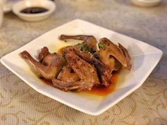 红油小白凤-百利鸽王(紫薇路店)