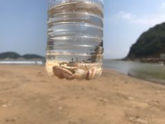 -东海半边山旅游度假区