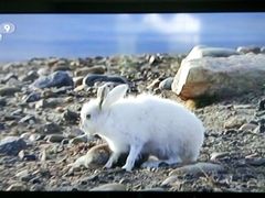 -欢乐驿站量贩式KTV(西丽店)