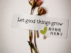 -THE PRESS(申报馆店)