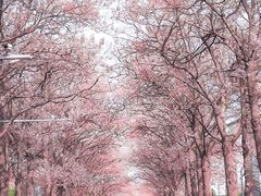 -亦庄创意生活广场