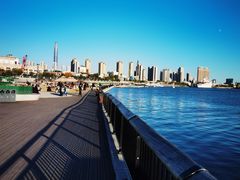 -海河外滩公园