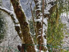 -九峰山