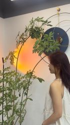 -美森形象