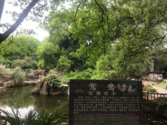 -东湖落雁景区