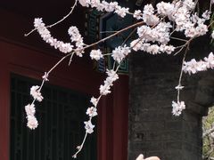-北海公园